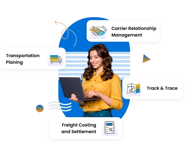 SAP PPDS Course